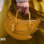 Handbag designer jailed for wildlife smuggling