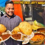 Non Veg Fish platter Rs-700/- at Al Hiba😰🥵😱 #youtubeshorts #streetfood #foodie #thali